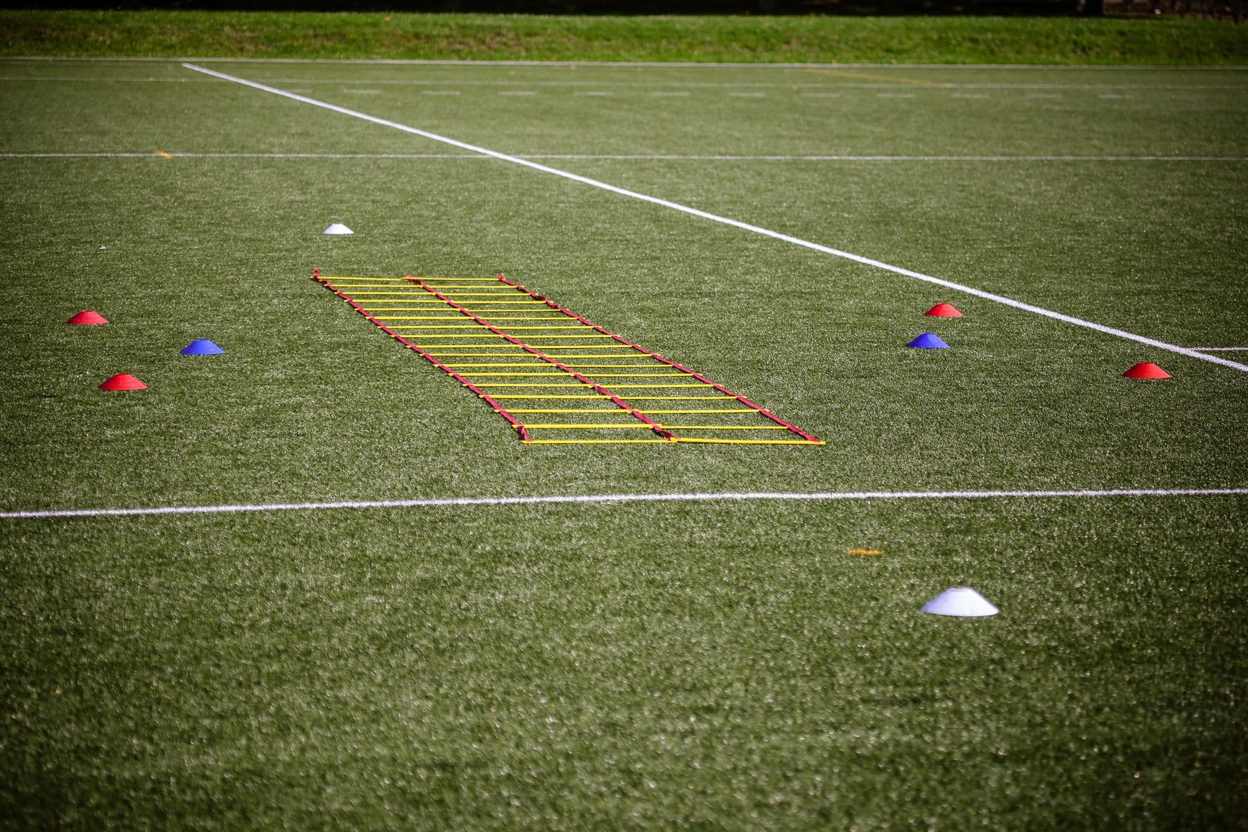 Training cones and an agility ladder on a pitch